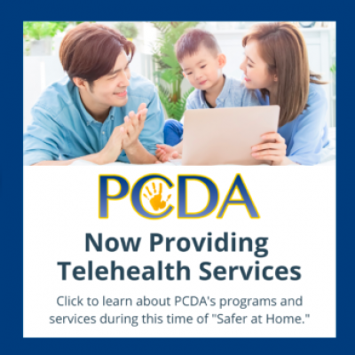 Professional Child Development Services (PCDA)